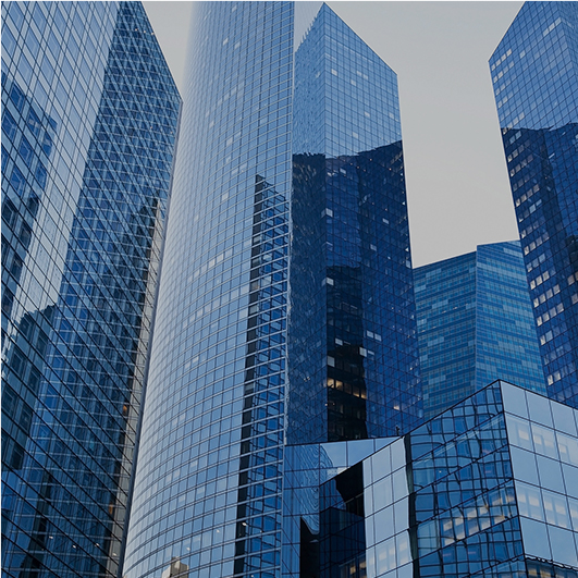 COMPANY PROFILE